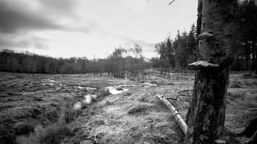 Breakthrough Filters IR
