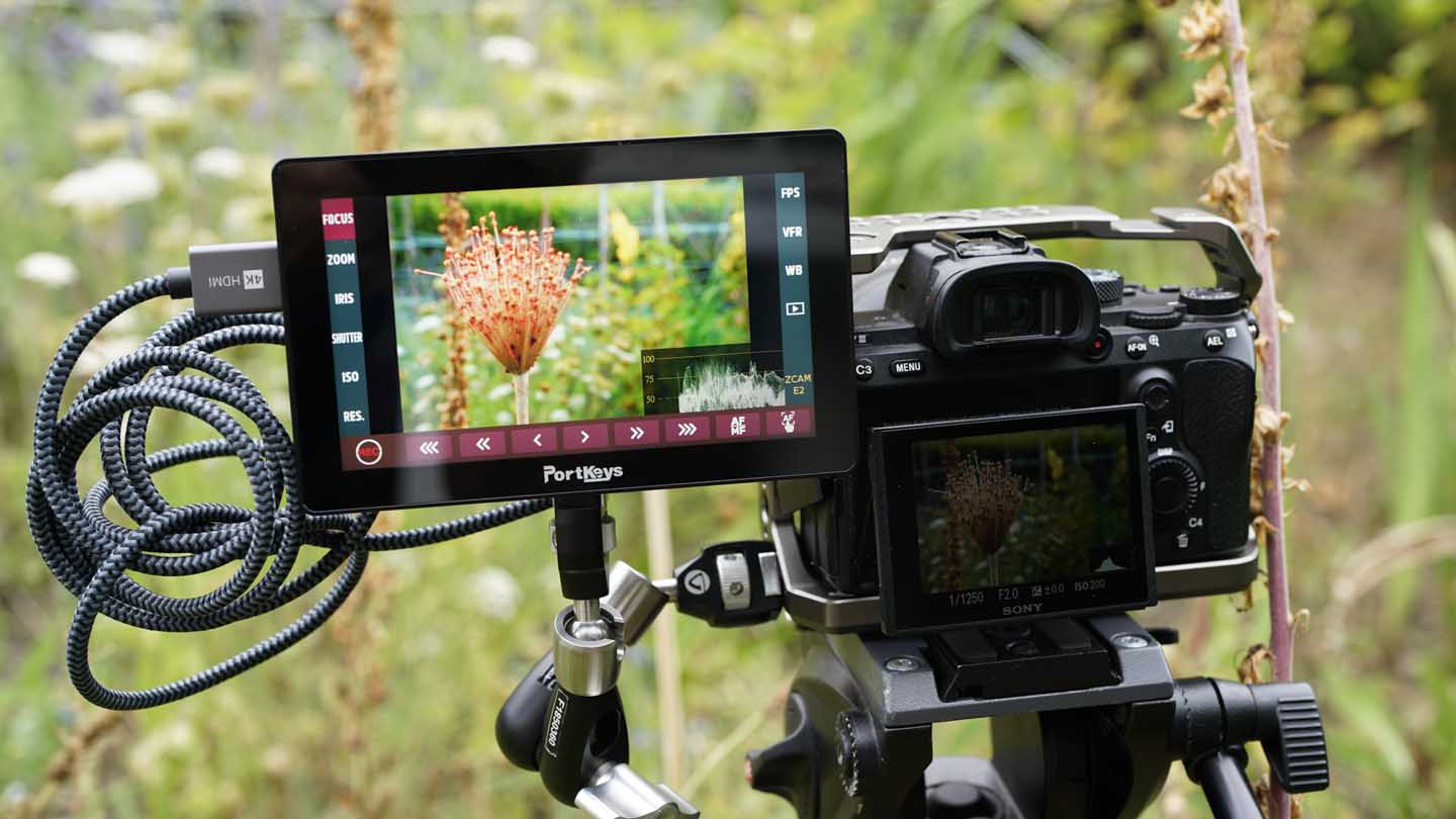 PortKeys LH5P II Review - Camera Jabber PortKeys LH5P II Review - Camera Jabber