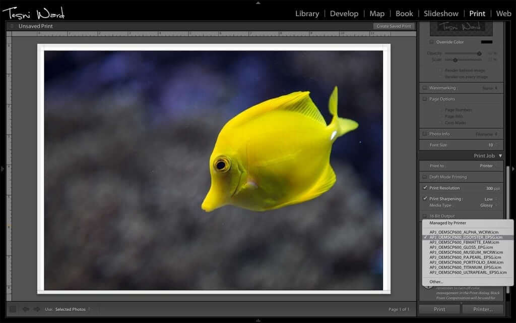 colour management in Lightroom