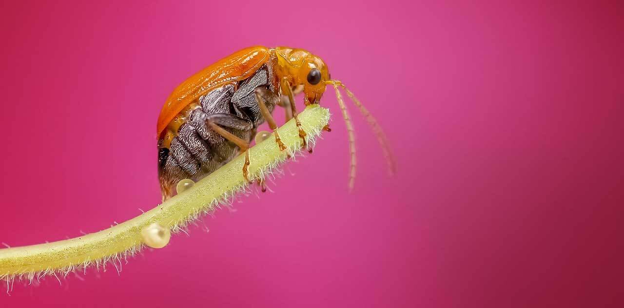 5 Dos and 3 Don'ts when sharpening images
