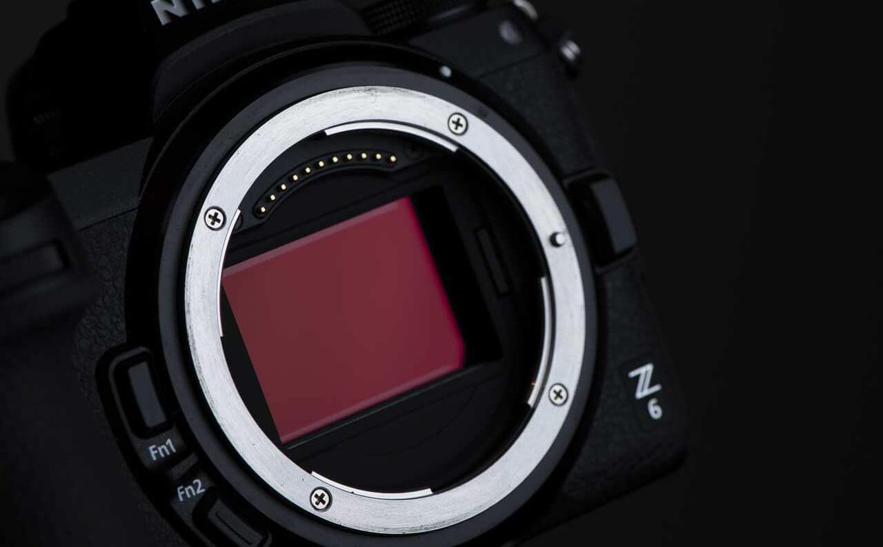 Best cameras for wildlife photography