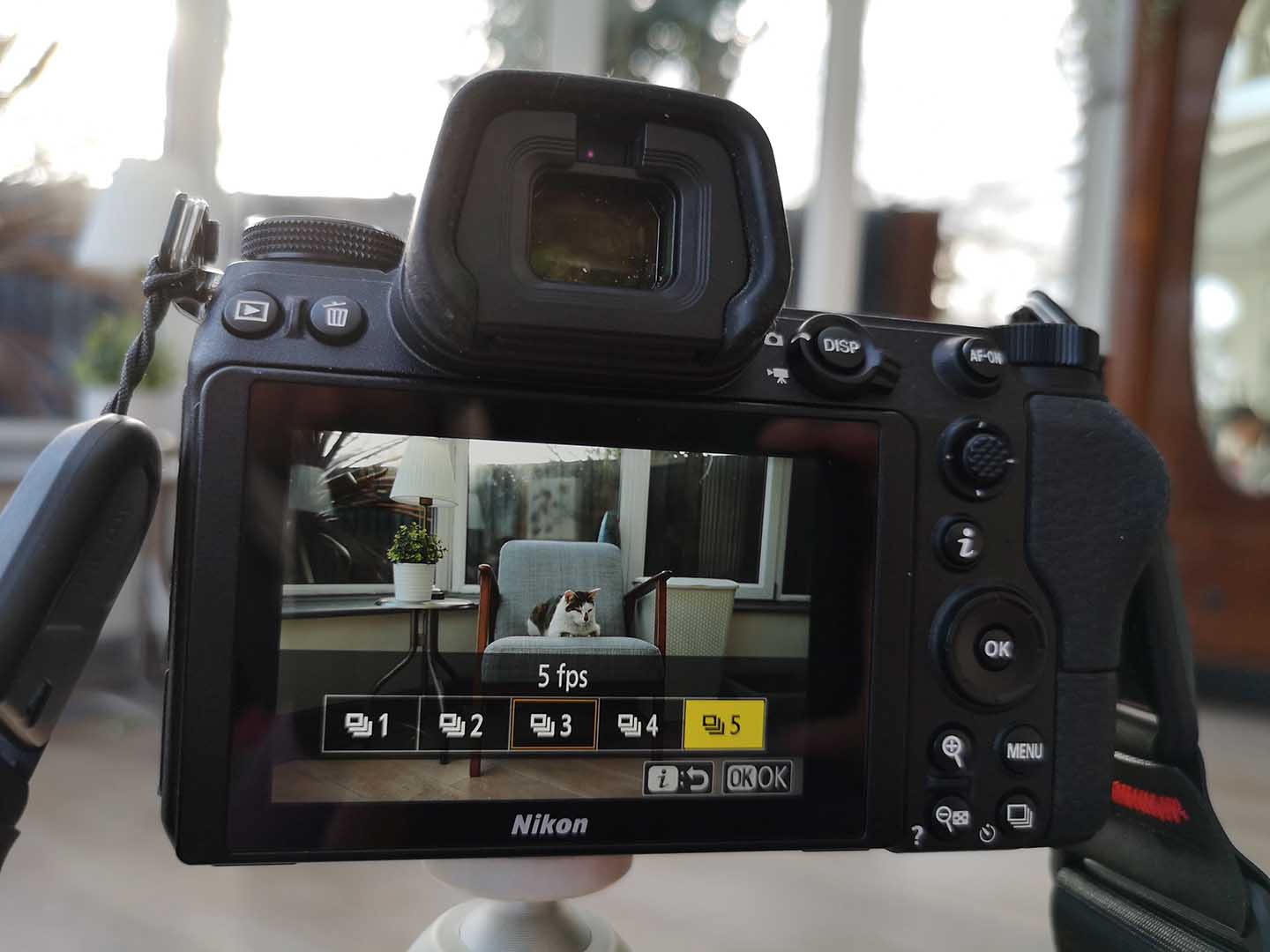 Locate your camera’s drive modes