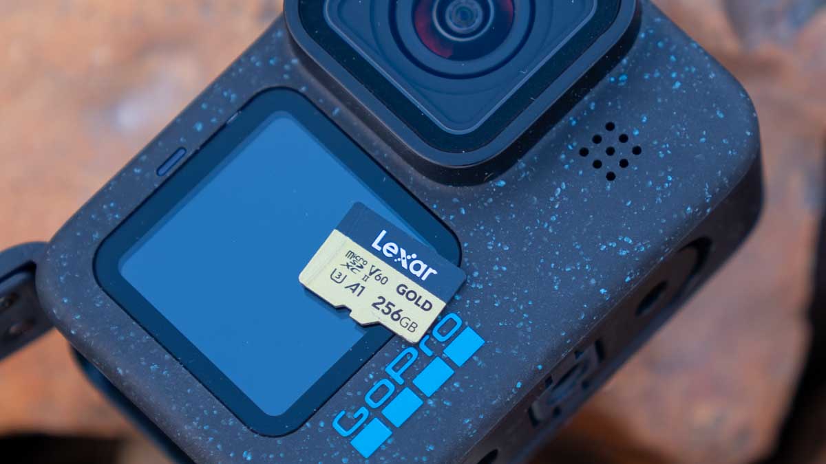 Lexar microSD Gold 256GB