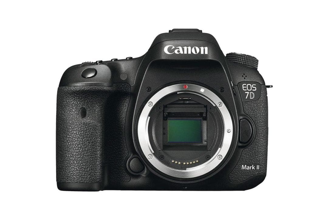 Daily Deal: claim big savings on Canon DSLRs for the next two days