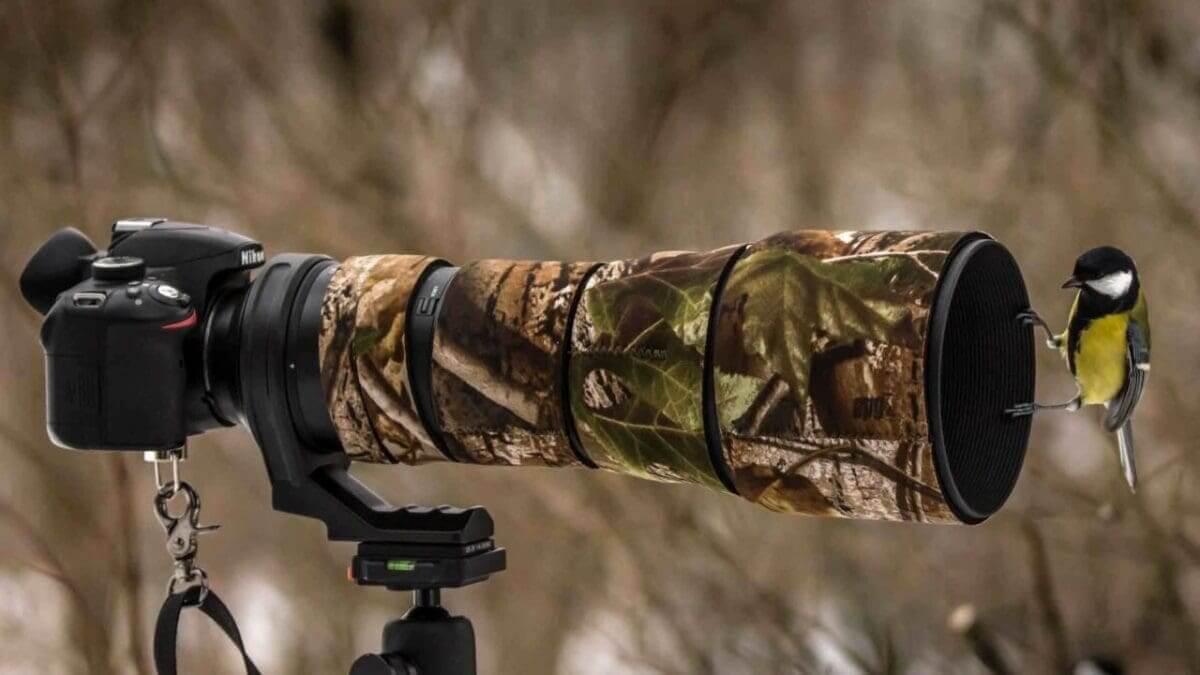 Camera lens wishlist: what to look for when upgrading from an 18-55mm