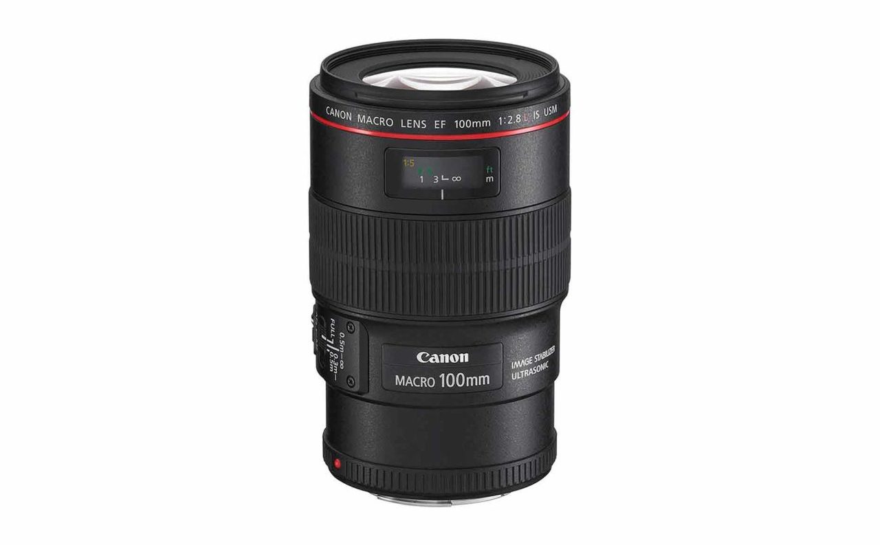 Best Canon EF lenses: 07 Canon EF 100mm f/2.8L Macro IS USM, £620