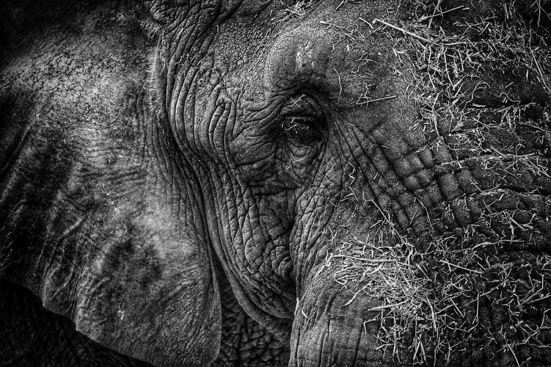 Black and white photography tips: 02 Textures and shapes