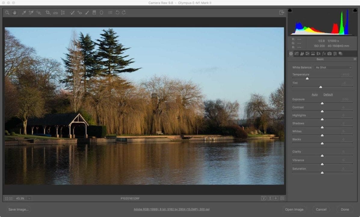 Raw or JPEG: when to use each file format