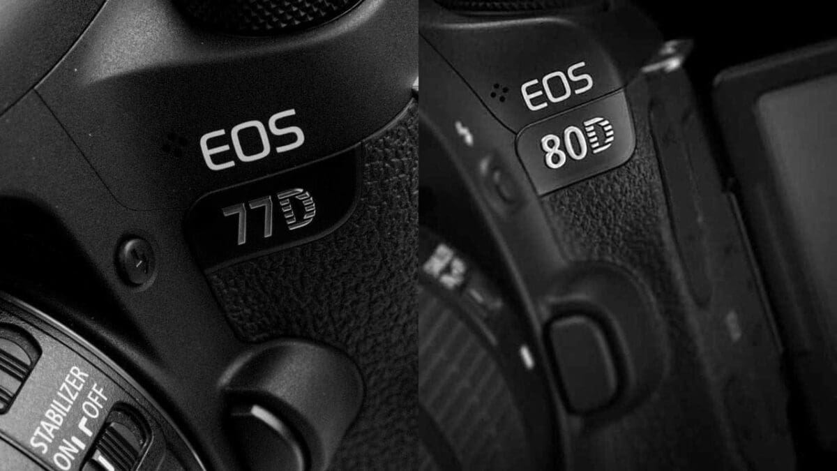 Canon 77D vs Canon 80D name badges