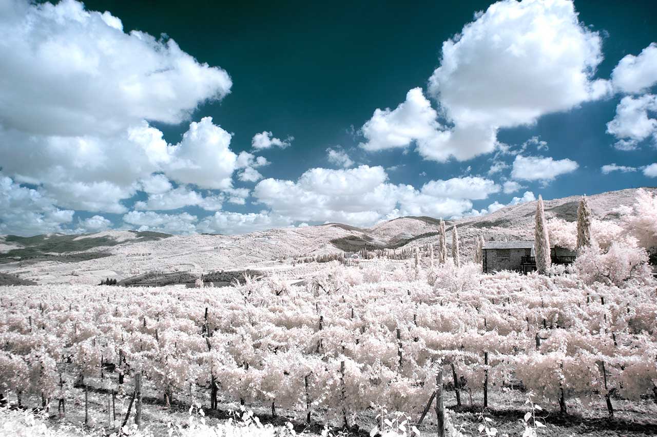 Landscape photography ideas: 09 Shoot infrared