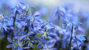 11 quick spring photography tips