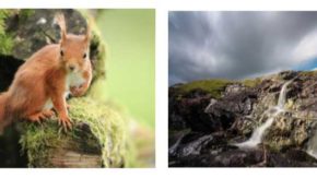 Jessops Academy launches new Scottish landscape, wildlife courses