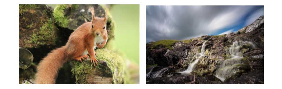 Jessops Academy launches new Scottish landscape, wildlife courses