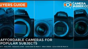 6 affordable cameras for 6 popular subjects