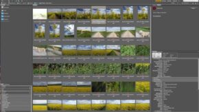 Rejecting, rating and filtering images in Adobe Bridge