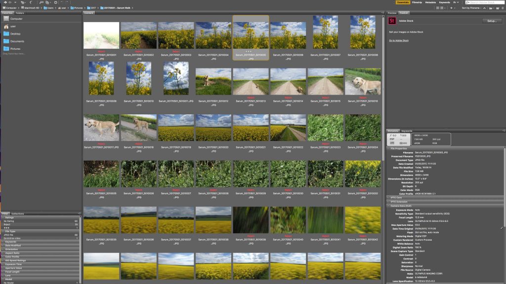 Rejecting, rating and filtering images in Adobe Bridge