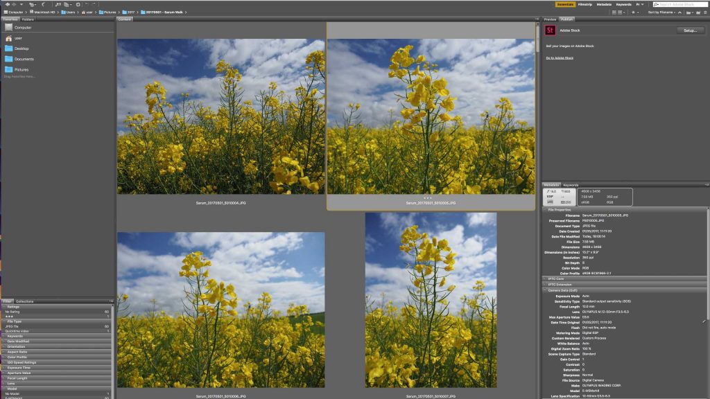 Rejecting, rating and filtering images in Adobe Bridge
