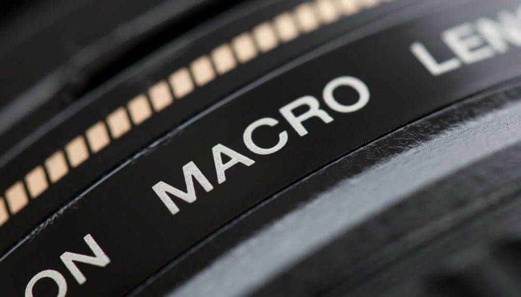 macro-lenses-explained-how-to-buy-with-confidence-camera-jabber