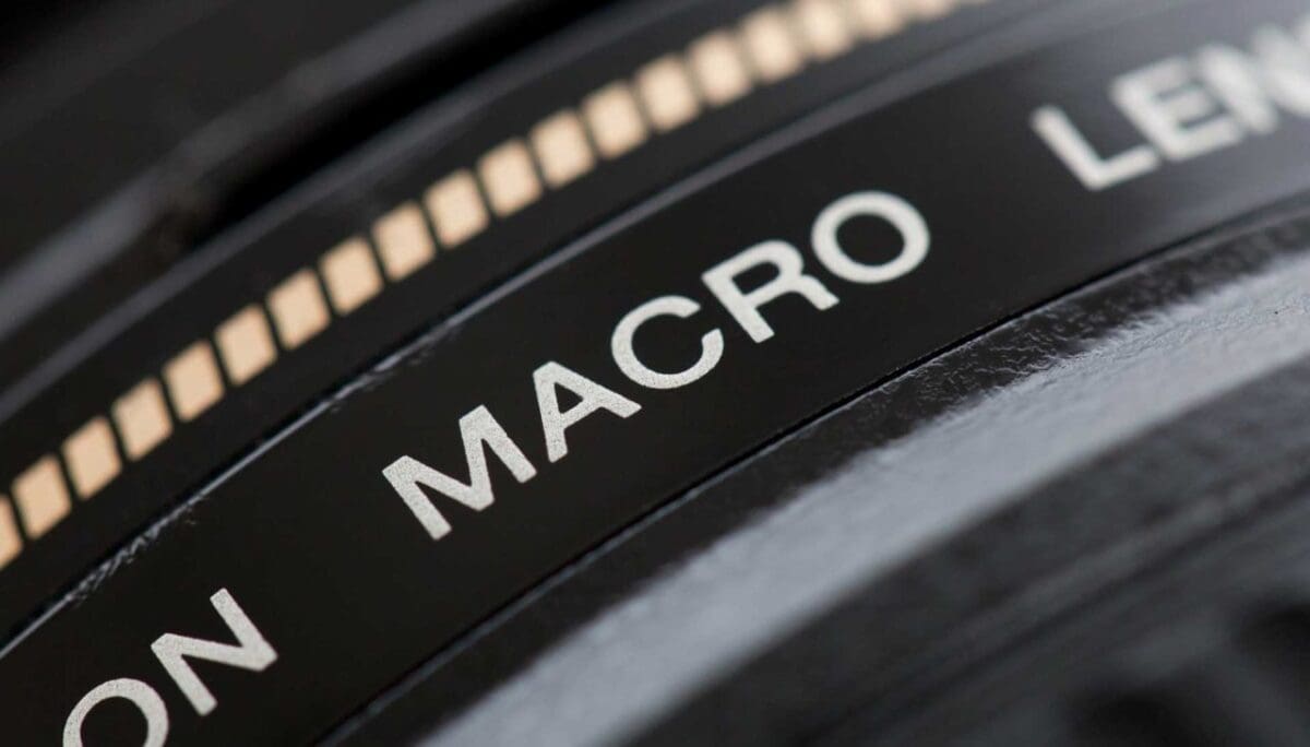 Macro lenses explained: how to buy with confidence