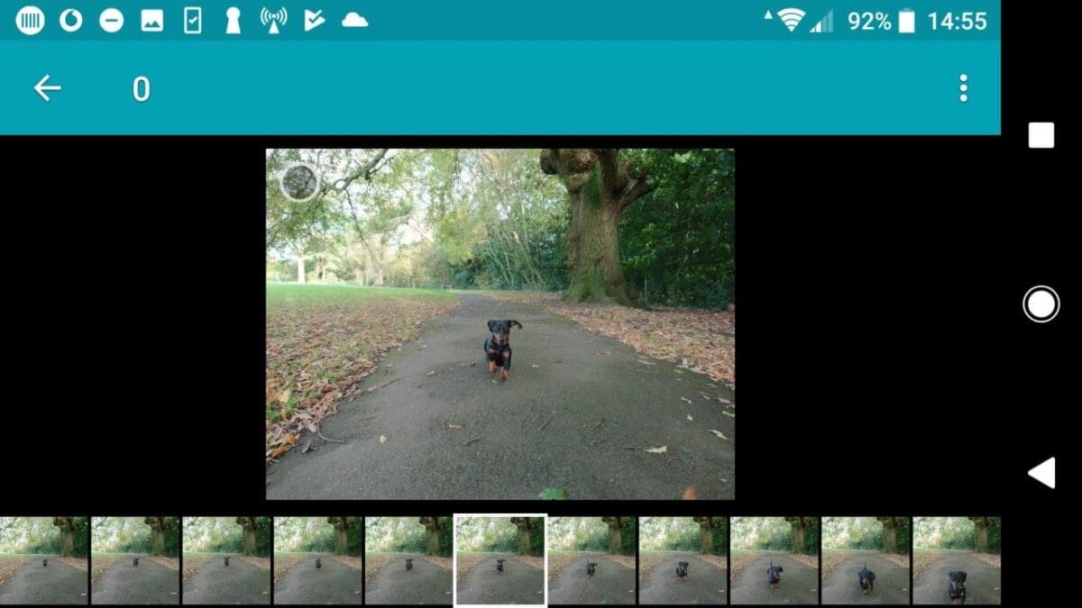 Sony Xperia XZ1 camera review: image quality