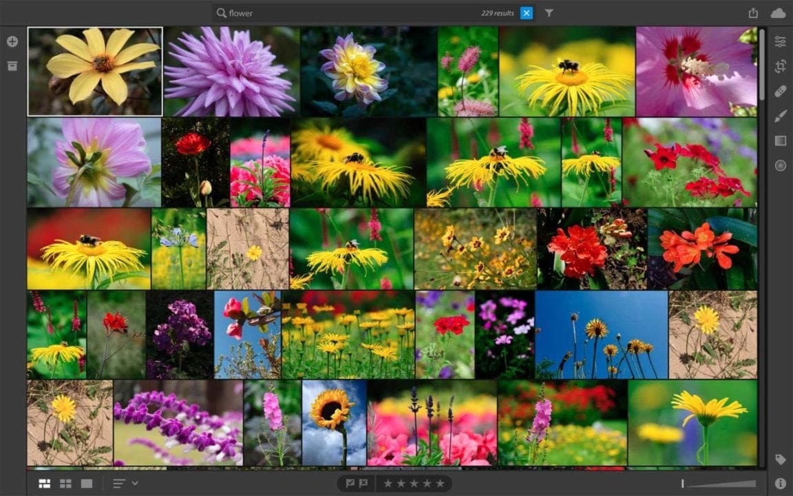 Lightroom CC Review: more tools and features