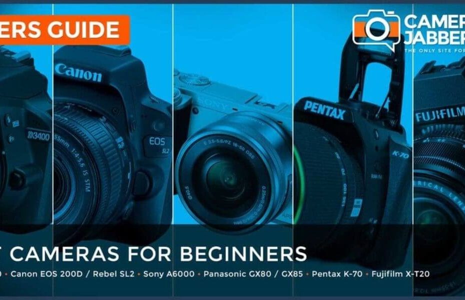 Best cameras for beginners: what to buy to learn photography