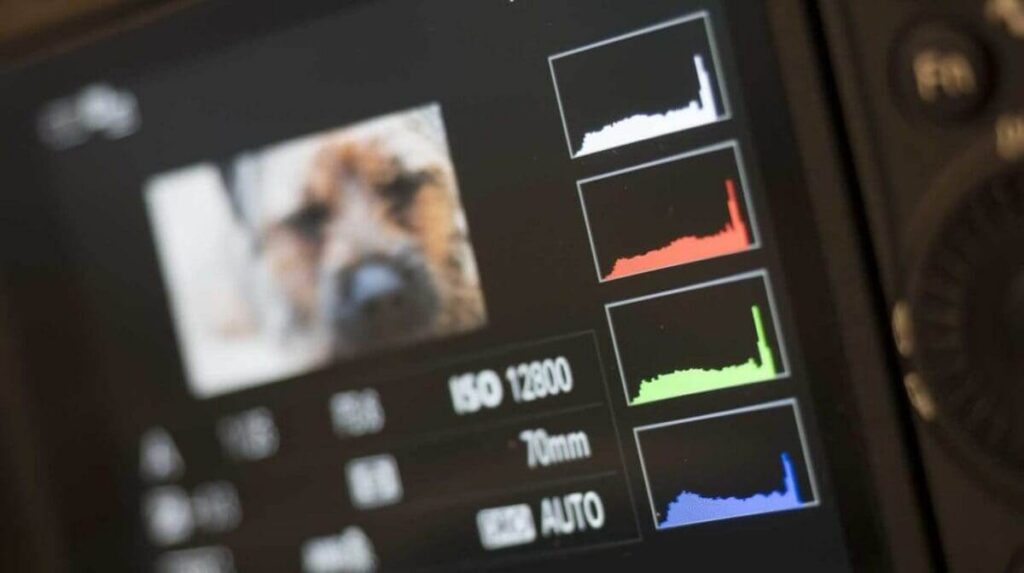 How to expose to the right with your camera