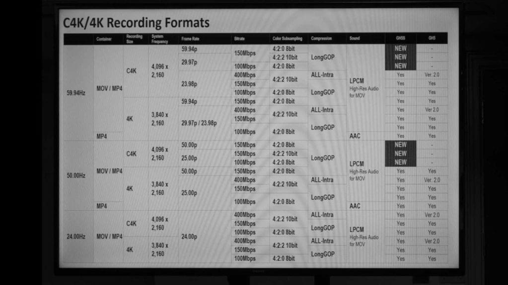 Panasonic GH5S Review: C4K/4K Recording Formats