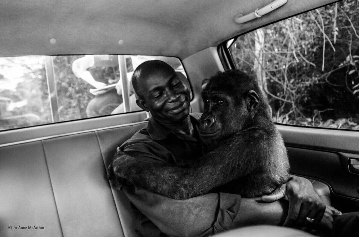 Wildlife Photographer of the Year People's Choice winner revealed