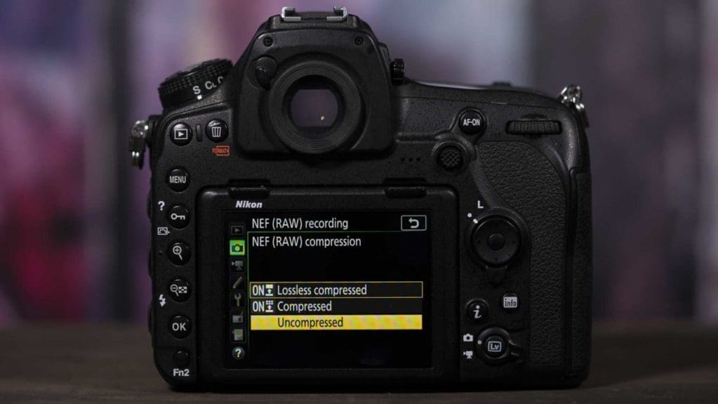 How to set-up Nikon D850 for the first time: Raw quality