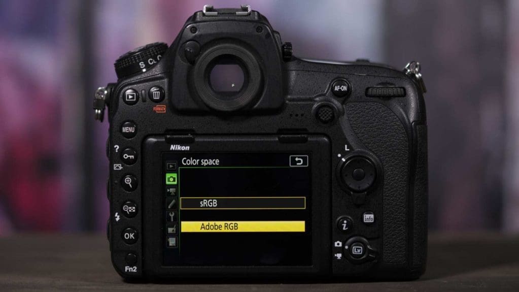 How to set-up Nikon D850 for the first time: Colour Space