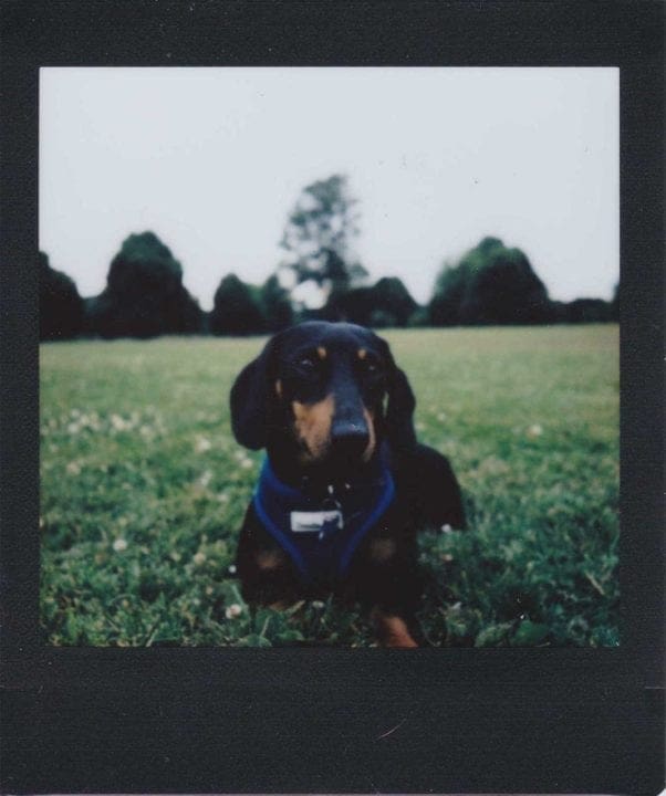 Fuji Instax SQ6 sample photos