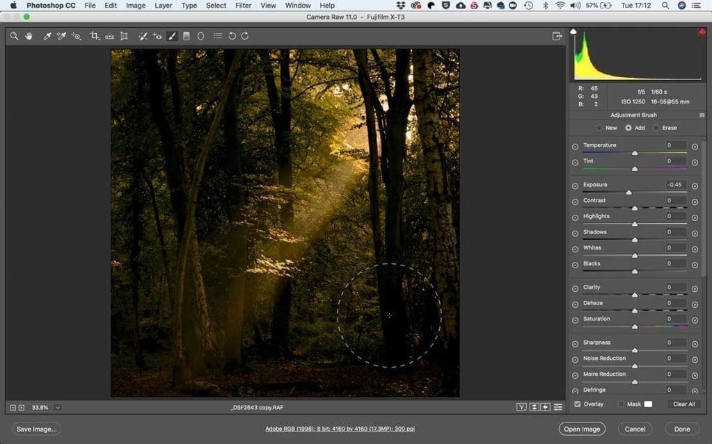 Fujifilm X-T3 raw files after 5 Minutes in Photoshop: Autumn woodland