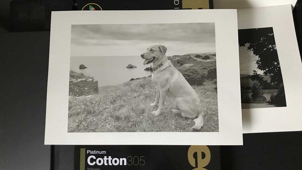 Fotospeed Platinum Cotton 305 Review