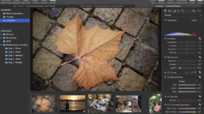RAW Power 2.0 adds batch editing, new adjustment tools