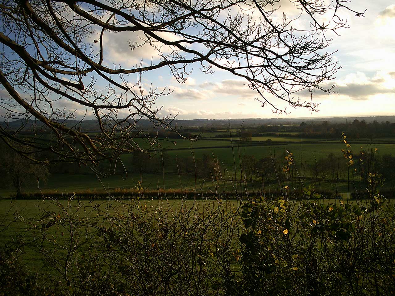 Yashica digiFilm Camera Y35 review: sample photos