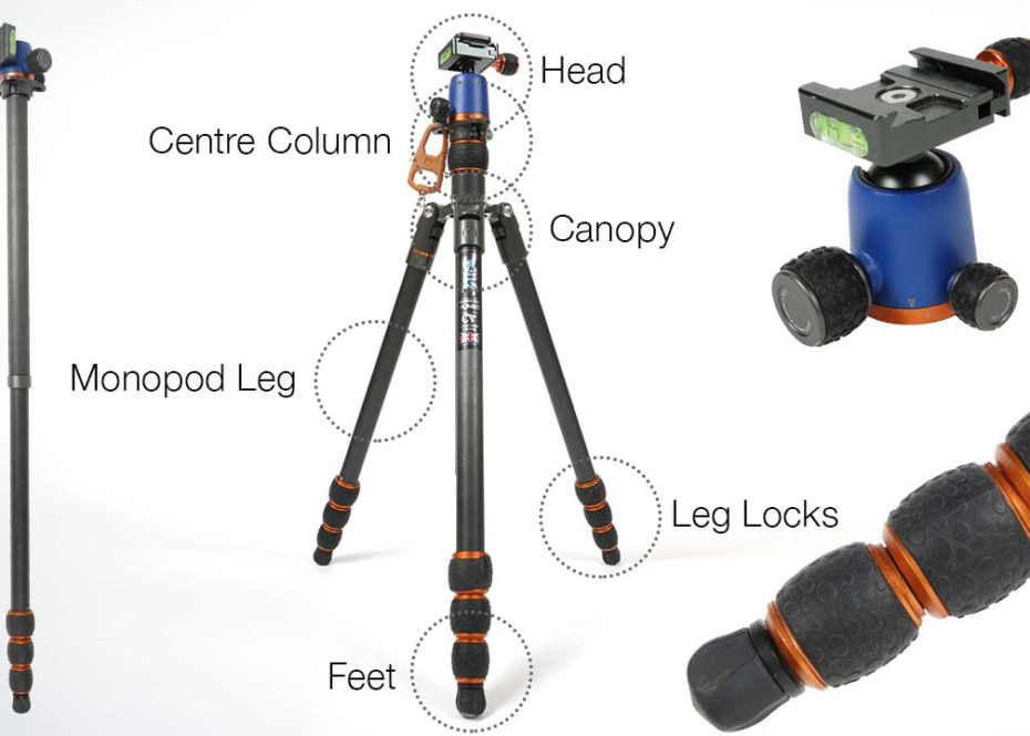 A complete guide to tripod anatomy