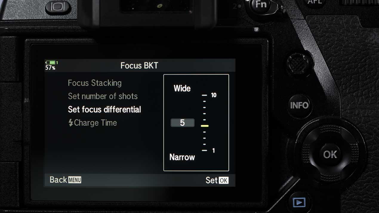 Olympus OM-D E-M1X review: Focus bracketing Focus stacking