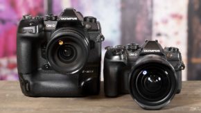 Olympus OM-D E-M1X review: Olympus OM-D E-M1X vs OM-D E-M1 II