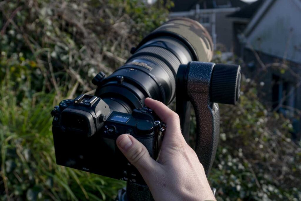 DSLR or mirrorless for Wildlife Photography?