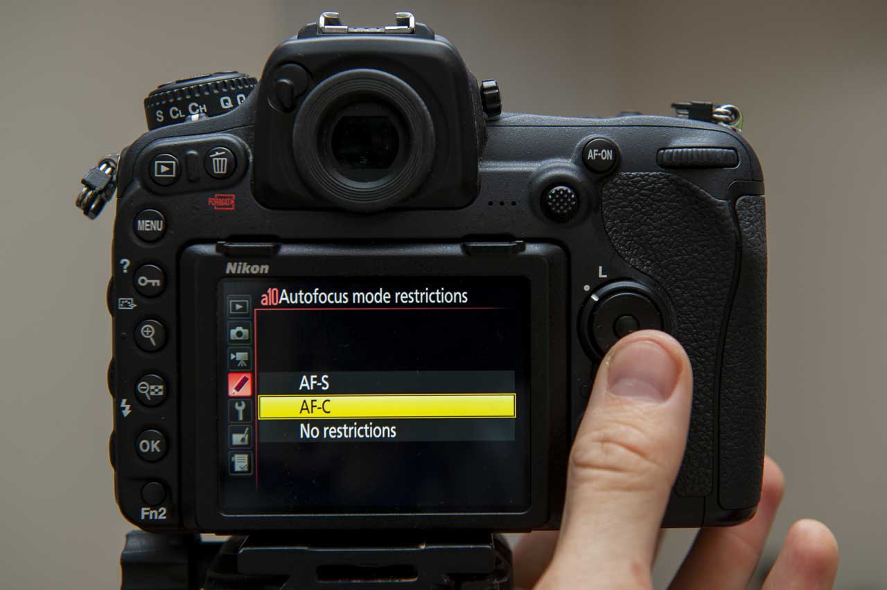 How to photograph birds with a Nikon camera