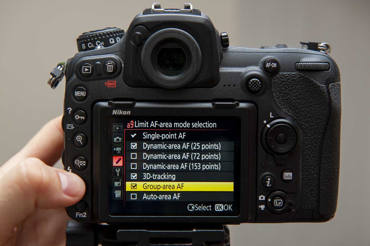 How to photograph birds with a Nikon camera