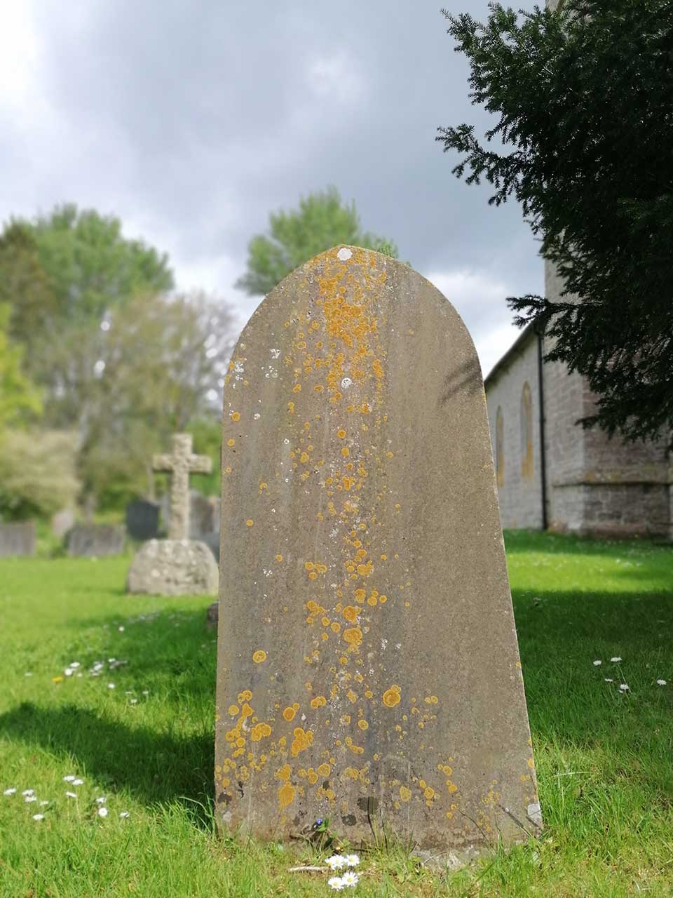 Huawei P30 Lite review: sample photos