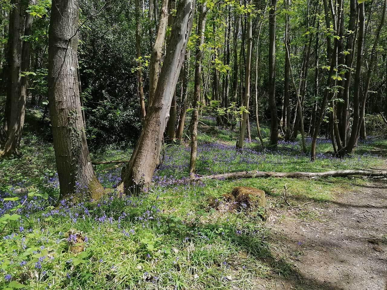 Huawei P30 Lite review: sample photos