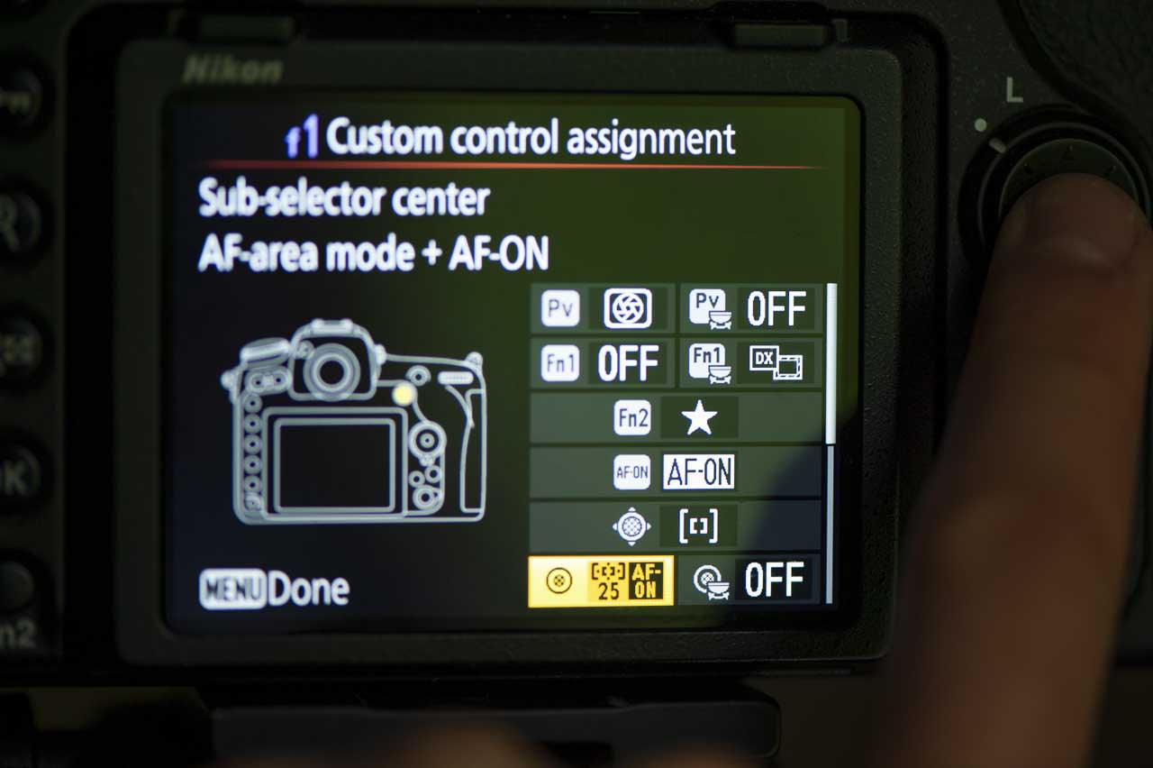 How to setup a Nikon camera to photography birds