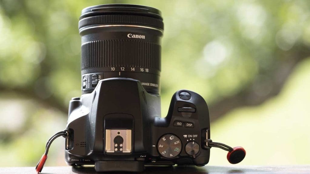 Canon EOS Rebel SL3 / EOS 250D Review