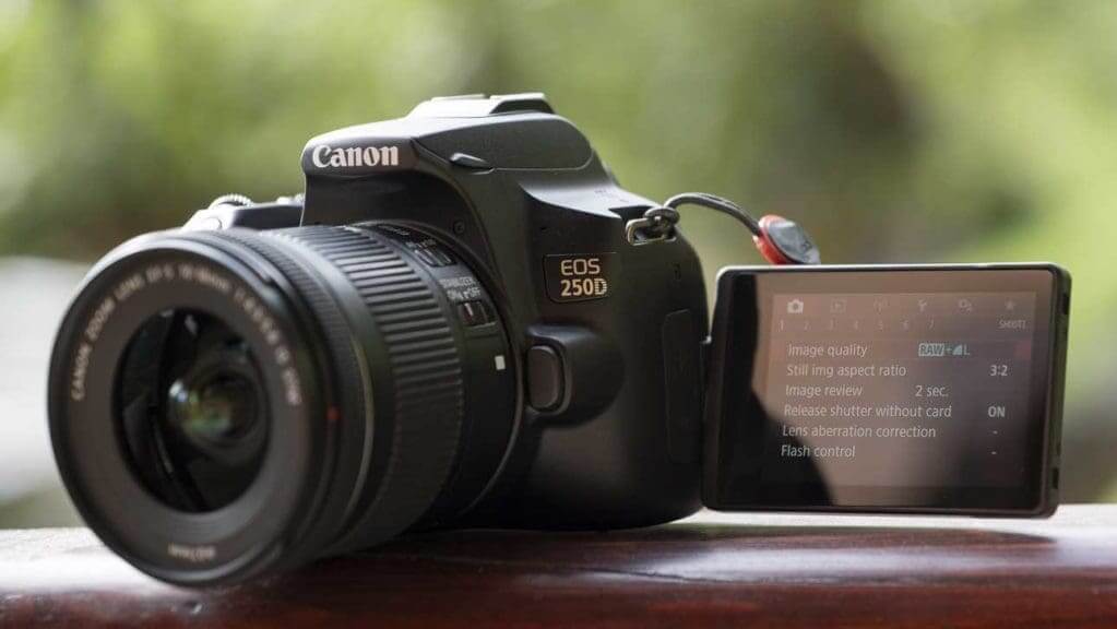 Best Canon Cameras For Beginners Camera Jabber