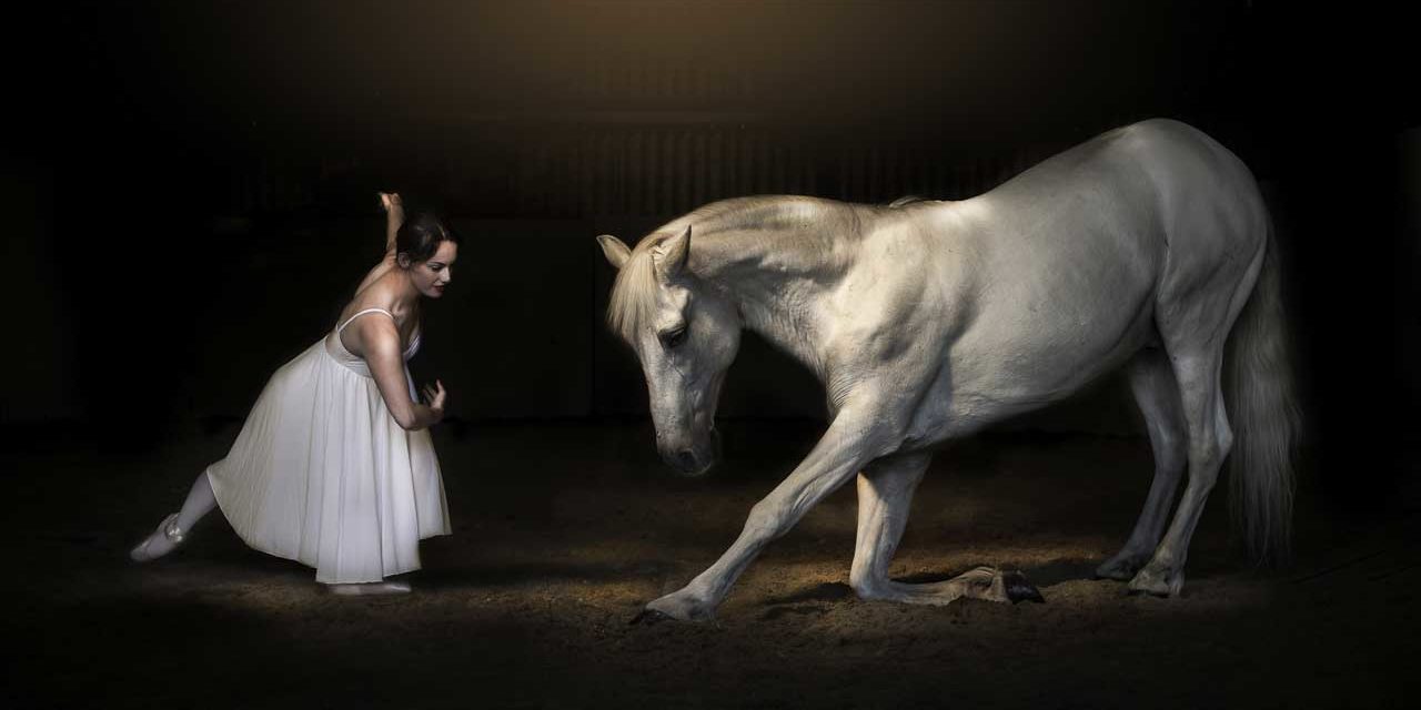 Interview with Pro Fine Art Horse Photographer Jane