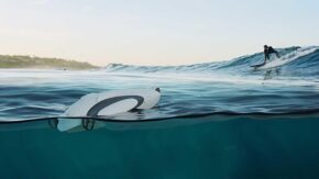 PowerDolphin