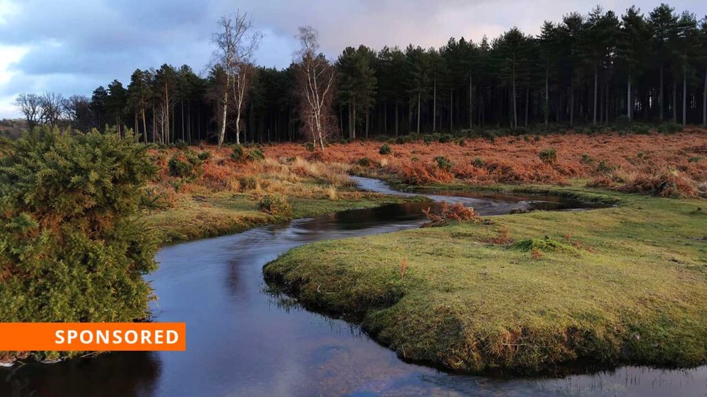 Go low - The art of low level photography